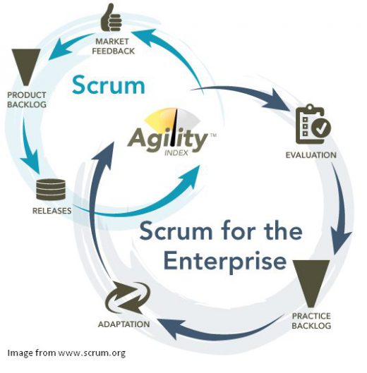 Investing In Product Development Agility BuckleyPLANET